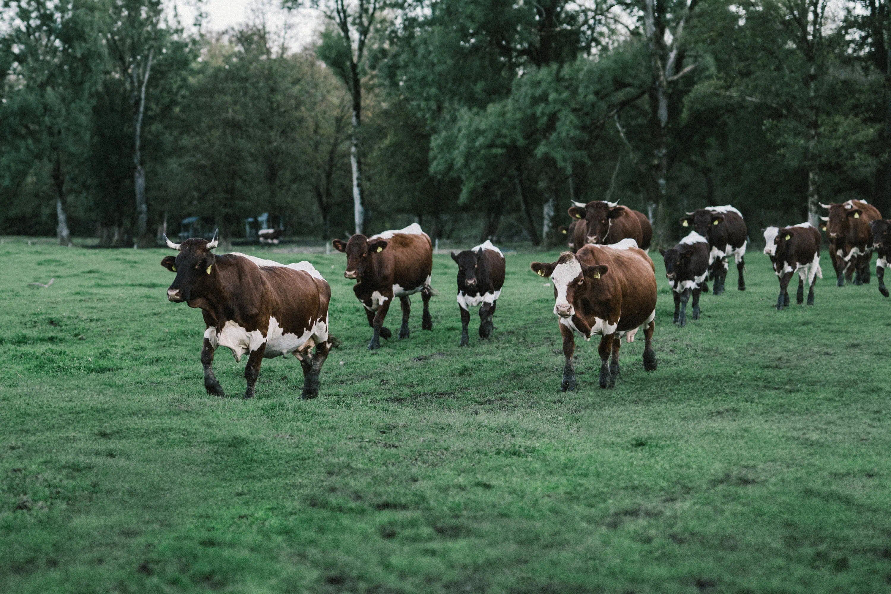 Unsere Landwirtschaft